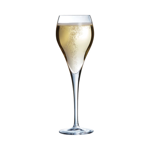 Brio 16 cl champagne flute