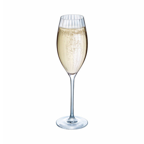 Ensemble 16 verres Serena Lines