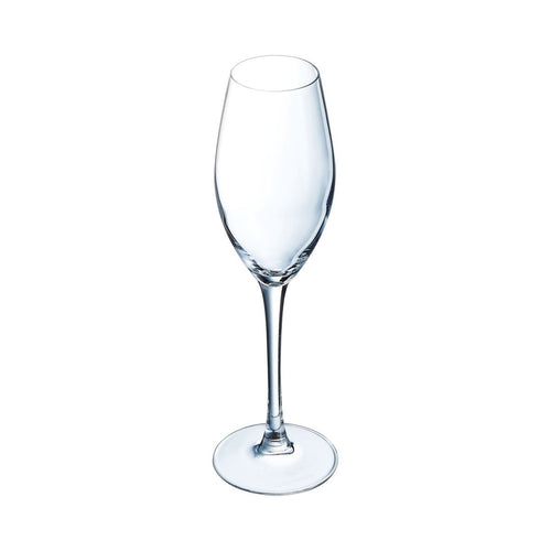 Flûte 24 cl Séquence - 2