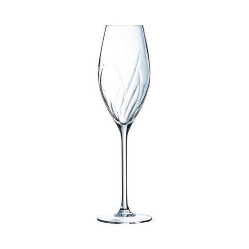 8 calici da champagne Swirly da 24 cl