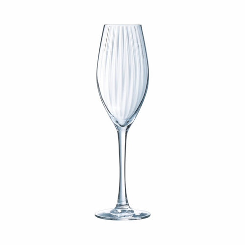Flûte 20 cl Serena Lines