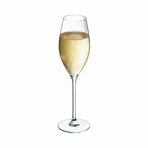 Flute a spirale da 24 cl