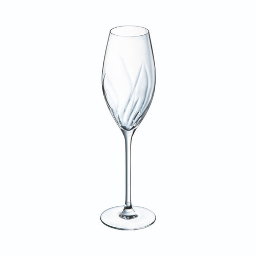 Flûte 24 cl Swirly